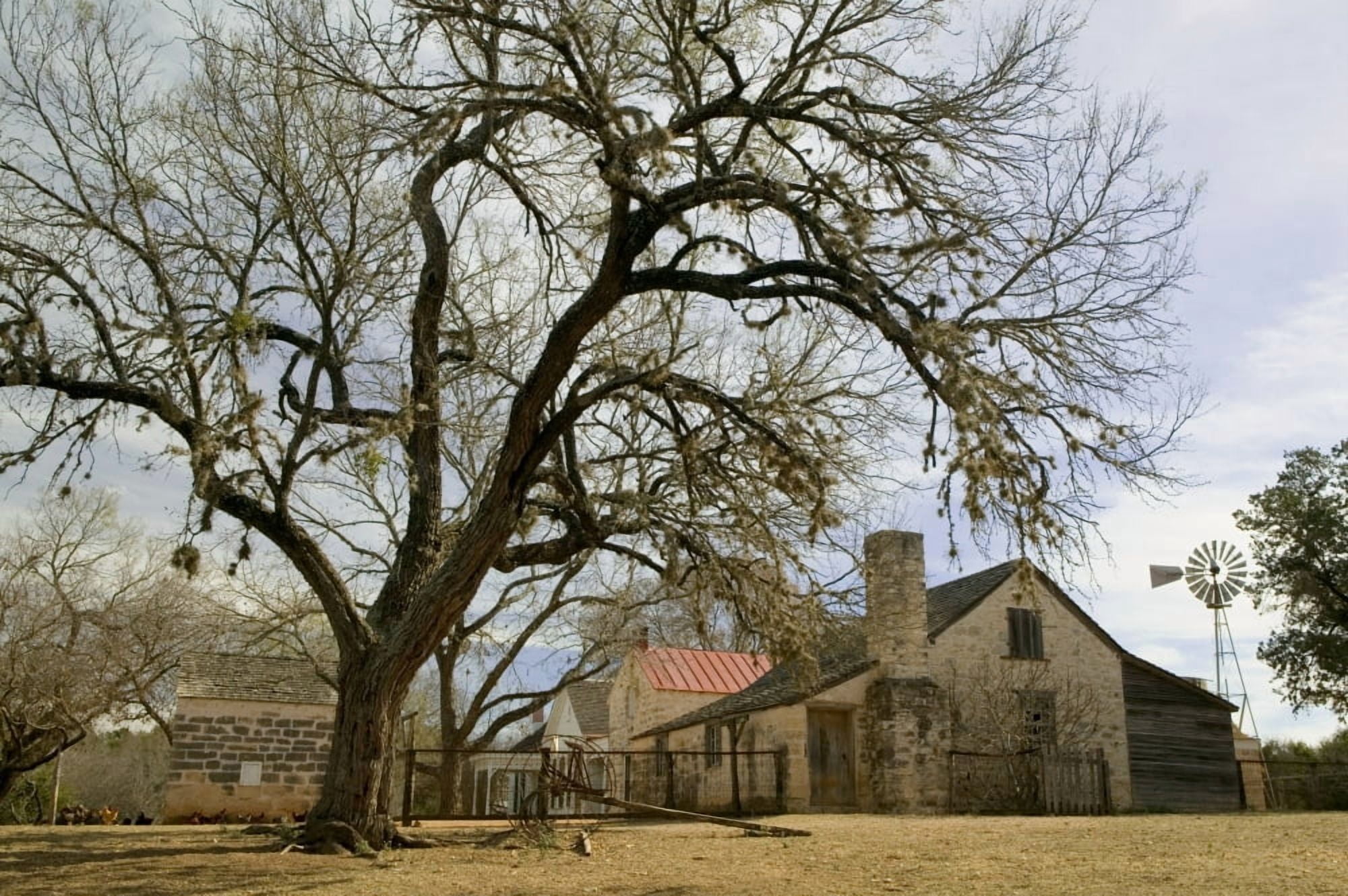 Farmhouse on a landscape Living History Farms Lyndon B Johnson National Historical Park Johnson City Texas USA Canvas Art - Panoramic Images (27 x 9)