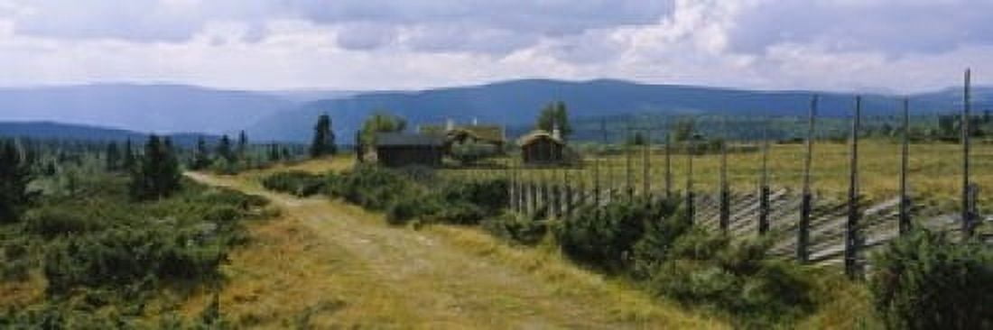 Farmhouses in a field Gudbrandsdalen Oppland Norway Canvas Art - Panoramic Images (18 x 6)