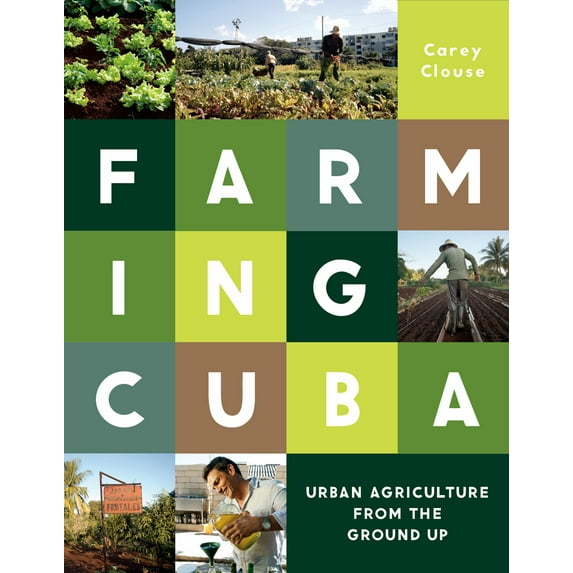 Farming Cuba : Urban Agriculture From the Ground Up (Paperback)
