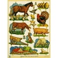 thumbnail image 1 of Farming Scraps Poster Print By Mary Evans Picture Librarypeter & Dawn Cope Collection (24 X 36), 1 of 3