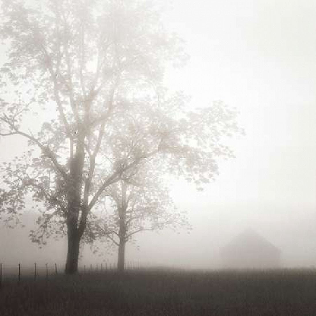 Farmland Appalachia 2013 Canvas Art - Nicholas Bell (24 x 24)