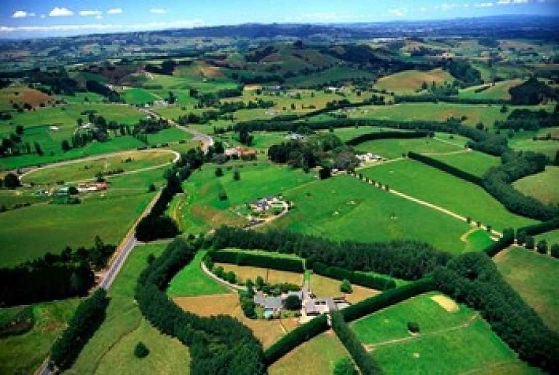 Farmland Brookby South Auckland New Zealand Canvas Art - David Wall DanitaDelimont (36 x 24)