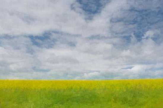 Farmland Canvas Art - Roberta Murray (24 x 36)