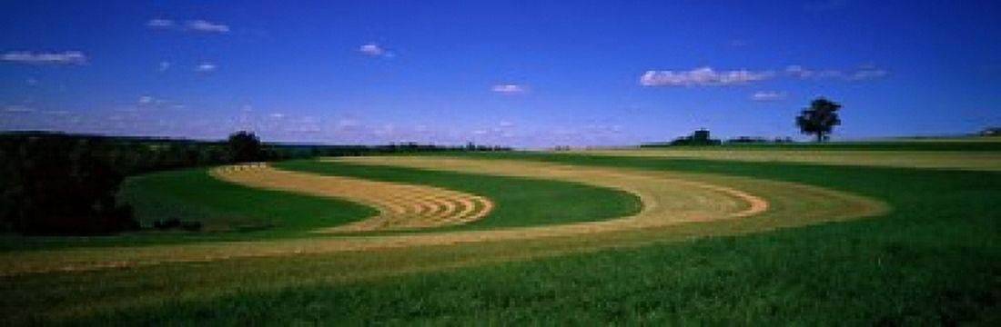 Farmland IL USA Canvas Art - Panoramic Images (18 x 6)