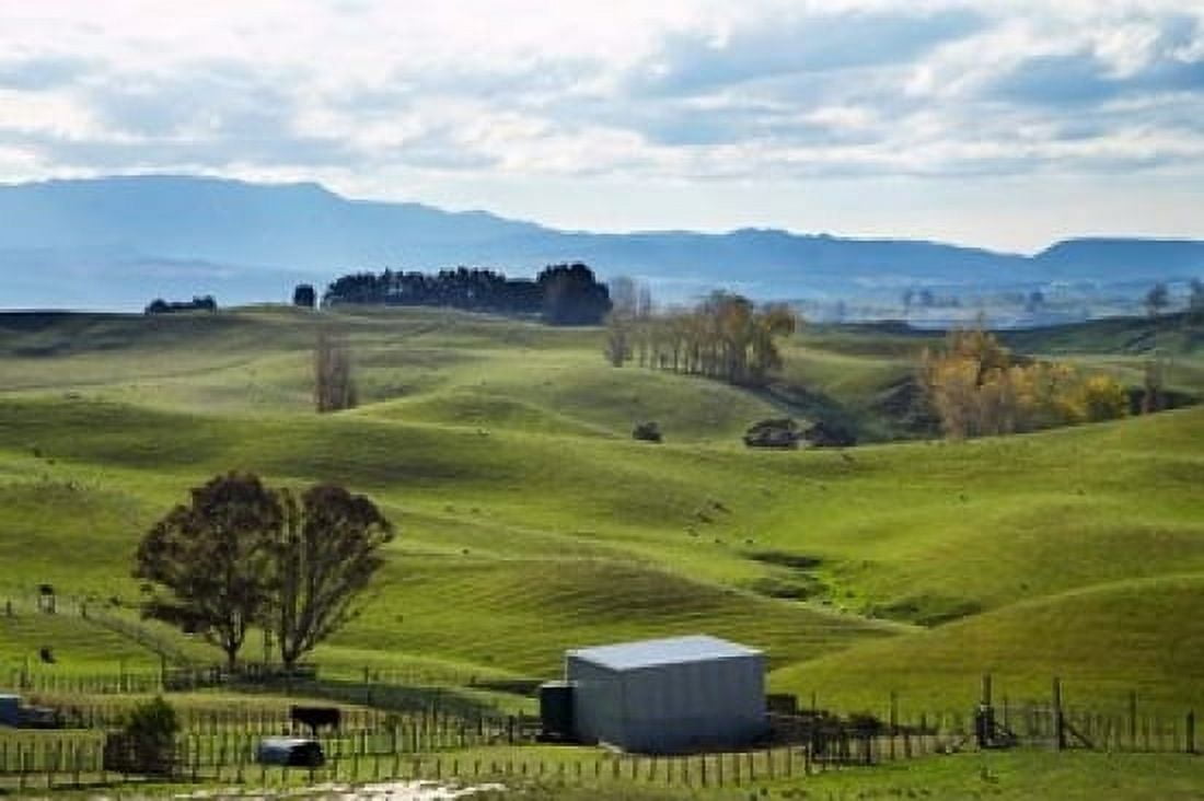 Farmland Napier Taihape Road Hawkes Bay North Island New Zealand Canvas Art - David Wall DanitaDelimont (17 x 11)