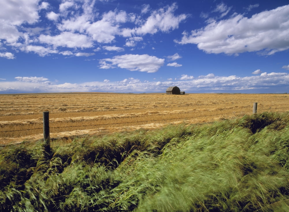 Farmland Near Cremona Alberta Canada Canvas Art - Darwin Wiggett Design Pics (18 x 13)