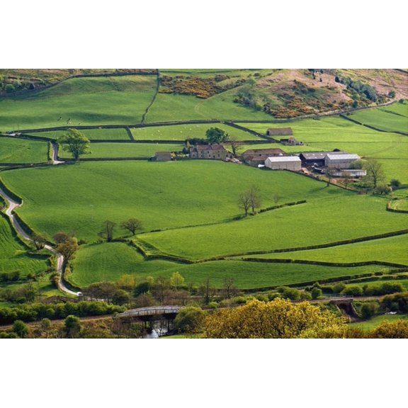 Farmland Of North York Moors National Park Canvas Art - Doug McKinlay Design Pics (19 x 12)