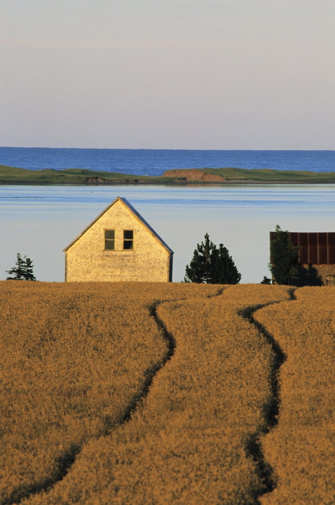 Farmland Queens County Prince Edward Island Canvas Art - Ron Watts Design Pics (11 x 17)
