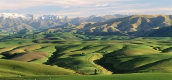 Farmland S Canterbury New Zealand Canvas Art - Panoramic Images (24 x 12)
