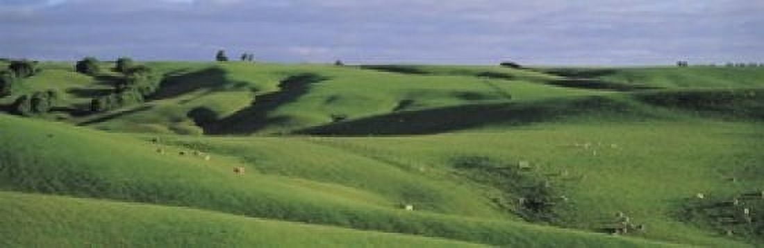 Farmland Southland New Zealand Canvas Art - Panoramic Images (18 x 6)