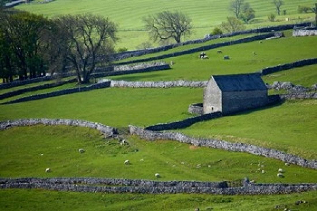 Farmland Stone Walls and Buildings near Malham Yorkshire Dales North Yorkshire England Canvas Art - David Wall DanitaDelimont (24 x 15)