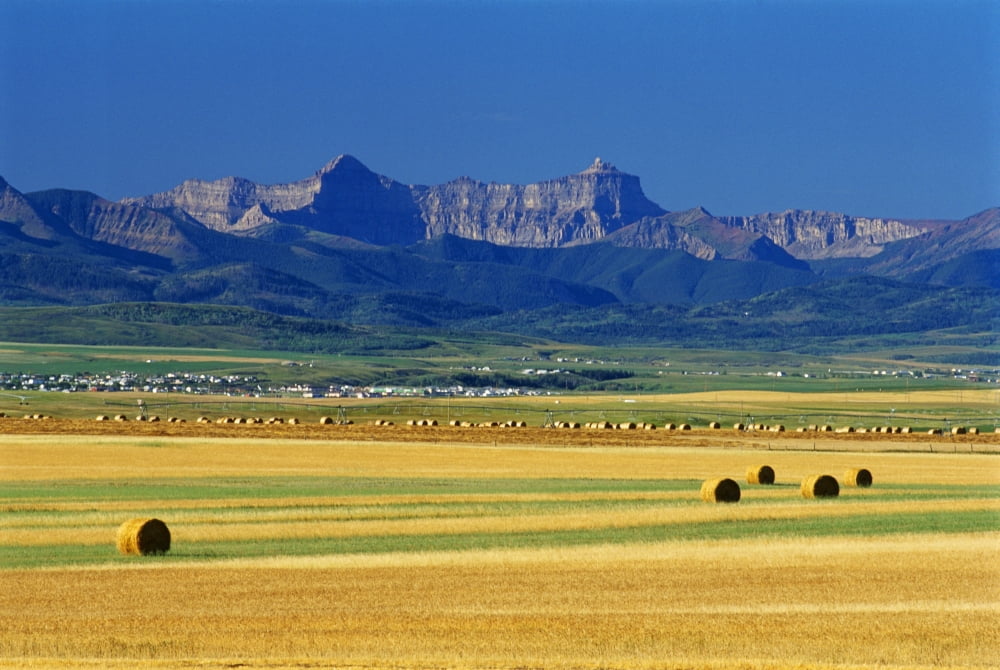 Farmland With Mountain In Background Pincher Creek Alberta Canvas Art - Mike Grandmaison Design Pics (36 x 24)
