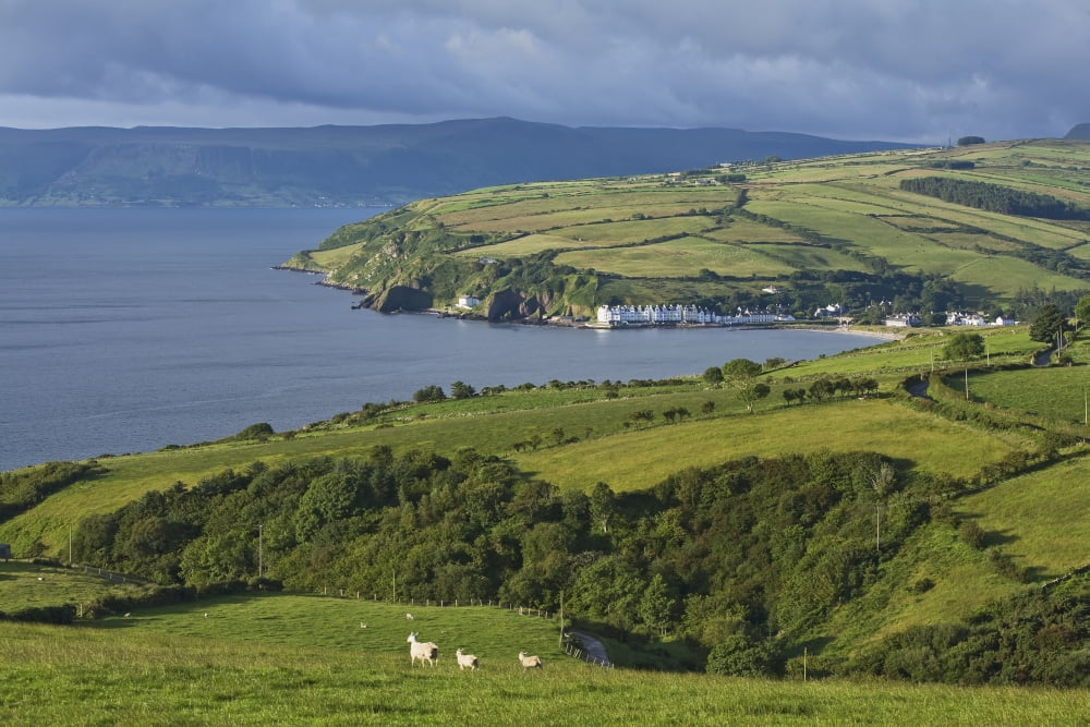 Farmland and bay at Cushendum Glens of Antrim County Antrim Ireland Canvas Art - Carl Bruemmer Design Pics (19 x 12)