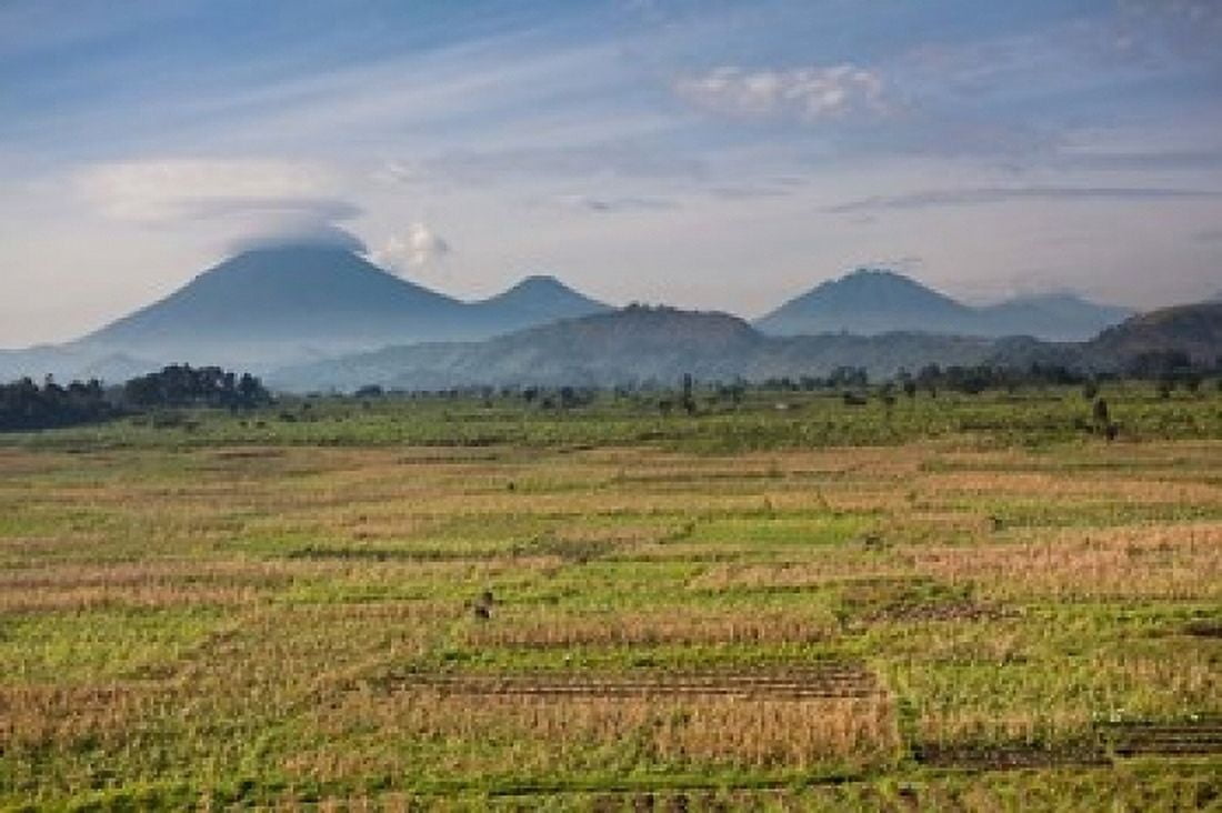 Farmland around Kisoro Kigezi Africa Canvas Art - Martin Zwick DanitaDelimont (19 x 12)