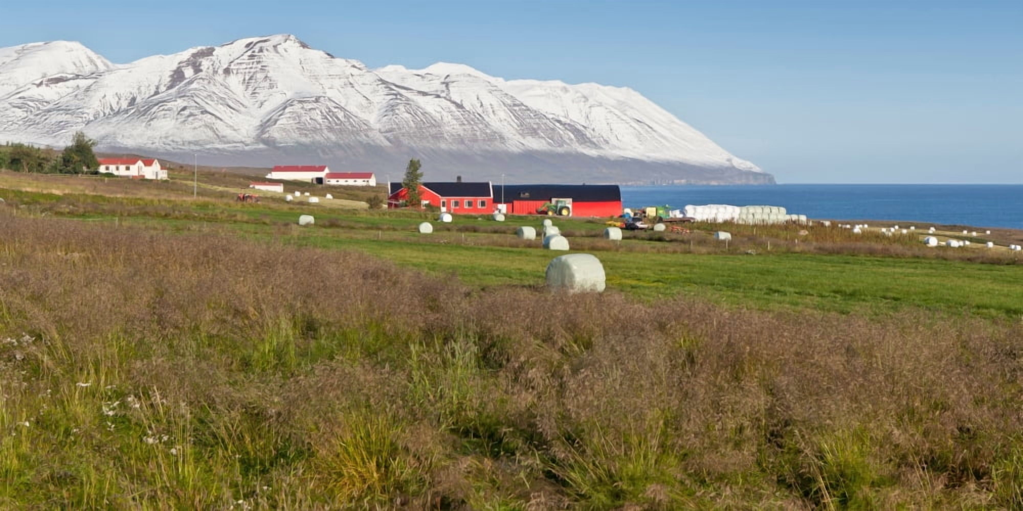 Farmland in the North Eyjafjordur Akureyri Iceland Canvas Art - Panoramic Images (12 x 36)