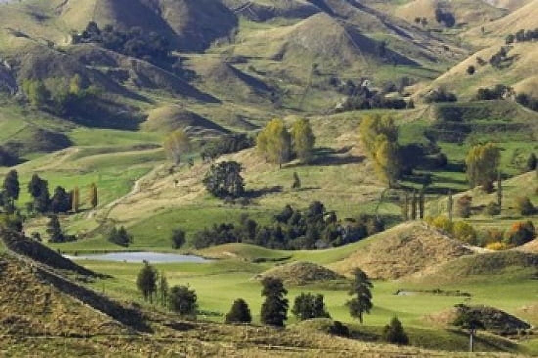 Farmland near Bells Junction Rangitikei District Central North Island New Zealand Canvas Art - David Wall DanitaDelimont (17 x 11)