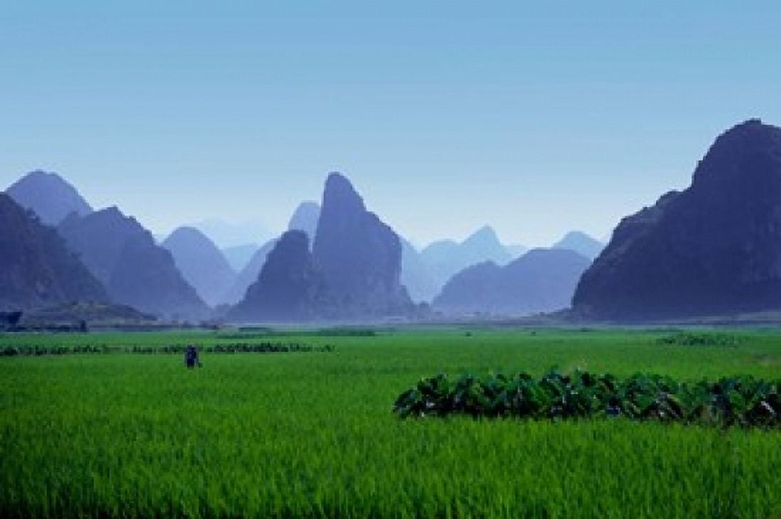 Farmland with the famous limestone mountains of Guilin Guangxi Province China Canvas Art - Charles Sleicher DanitaDelimont (39 x 26)