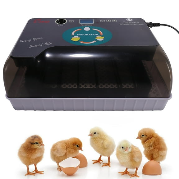 Farms Nurture Right Incubator | Egg Incubator for Hatching Chicks | Poultry Hatcher Machine with Humidity Display for Hatching Chickens Quail Duck Goose Turkey  |  White & Black,  12 Eggs