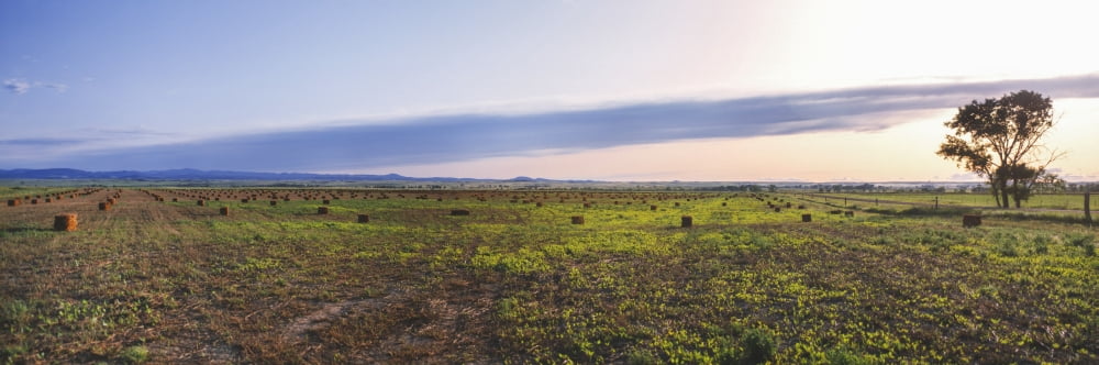 Farms at sunset Vale Butte County South Dakota USA Canvas Art - Panoramic Images (36 x 12)