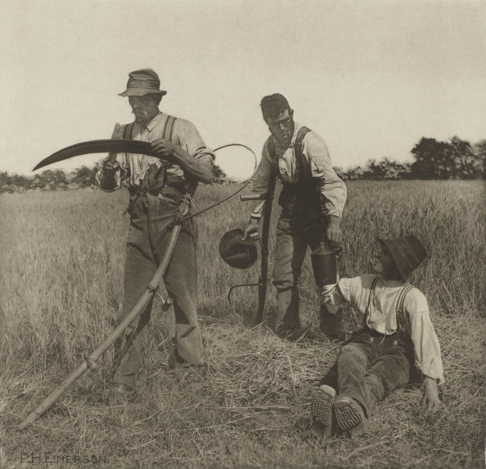 Farmworkers During The Barley Harvest In Suffolk Canvas Art -  (24 x 18)