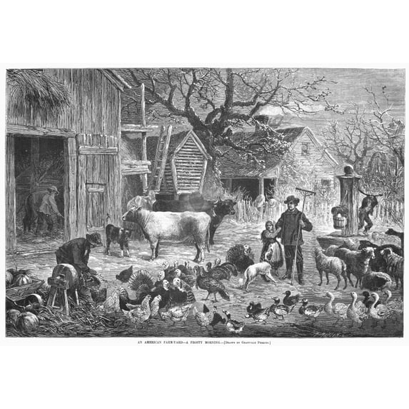 Farmyard 1877. N'An American Farmyard - A Frosty Morning.' Line Engraving After Granville Perkins 1877. Print by