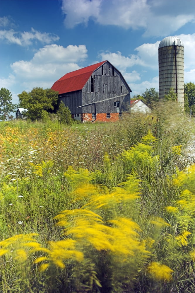Farmyard Niagara Peninsula Near Binbrook Ontario Canada Canvas Art - Darwin Wiggett Design Pics (11 x 17)