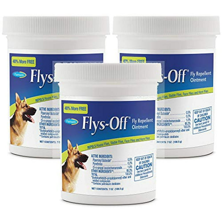 What Keeps Flies Off Dogs Ears