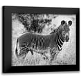 thumbnail image 1 of Farnsworth, Sarah 18x15 Black Modern Framed Museum Art Print Titled - Zebra Lookout, 1 of 5