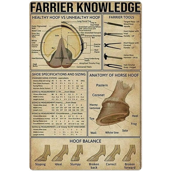 Farrier Knowledge Metal Tin Sign Anatomy of Horse Hoof Poster Infographic for School Education Farm Home Kitchen Club Wall Decoration Plaque 12x16 Inches