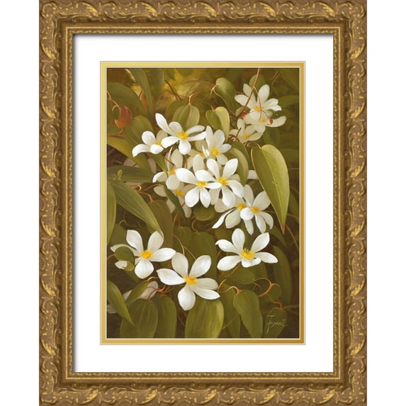 Fasani 14x18 Gold Ornate Wood Framed with Double Matting Museum Art Print Titled - CLEMATIS