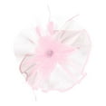 thumbnail image 1 of Fascinators Hat Feathers on a Headband and a Clip Headwear for Girls and Women,Pink,One Size,Dailypoc, 1 of 3