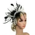 thumbnail image 1 of Fascinators Hat for Women Tea Party Headband Kentucky Derby Wedding Cocktail Flower Mesh Feathers Hair Clip, 1 of 1