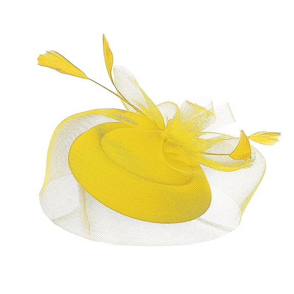 Fascinators Hat For Women Tea Party Pillbox Derby Fascinator Hat Veil Feather Fascinators Hair Clip Wedding Tea Party Hat Church Hat for Women Wedding Cocktail