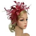 thumbnail image 1 of Fascinators Hat for Women Tea Party Headband Kentucky Derby Wedding Cocktail Flower Mesh Feathers Hair Clip, 1 of 4