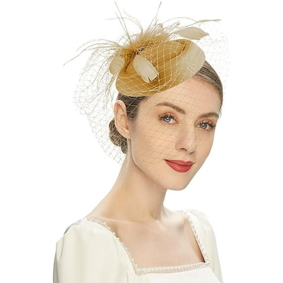 Fascinators Hats 20s 50s Hat Pillbox Hat Cocktail Tea Party Headwear with Veil for Girls and Women