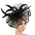 thumbnail image 1 of Fascinators Hats for Women Tea Party Vintage Tea Party Hat Mesh Flower Feathers Kentucky Fascinators Headband Derby Hats for Women Cocktail Wedding Fancy Dress Party One Size, 1 of 3