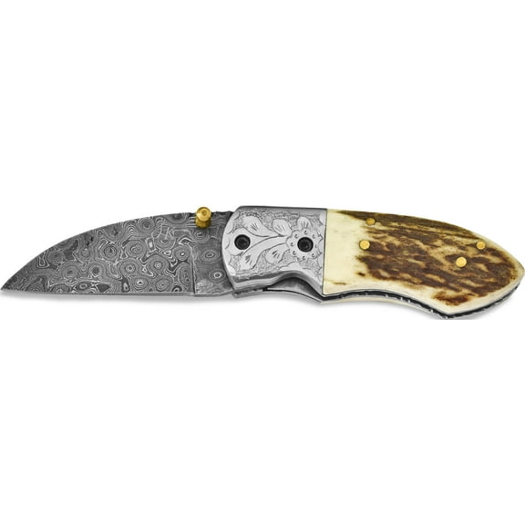 Fashion Damascus Steel 256 Layer Folding Blade Guard Staghorn Handle Knife (6.25 X 1) Made In Pakistan kn1610