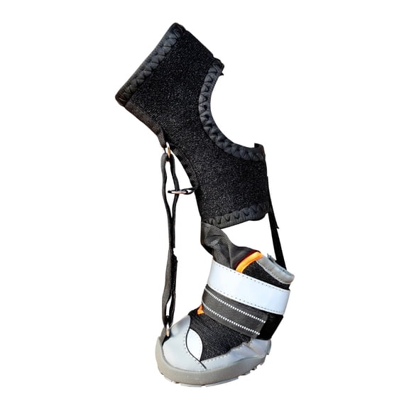 Fashion Dog Shoe Recovery Boot Waterproof Pet Shoe Snow Rain Dog Recovery Boot For Daily Walks