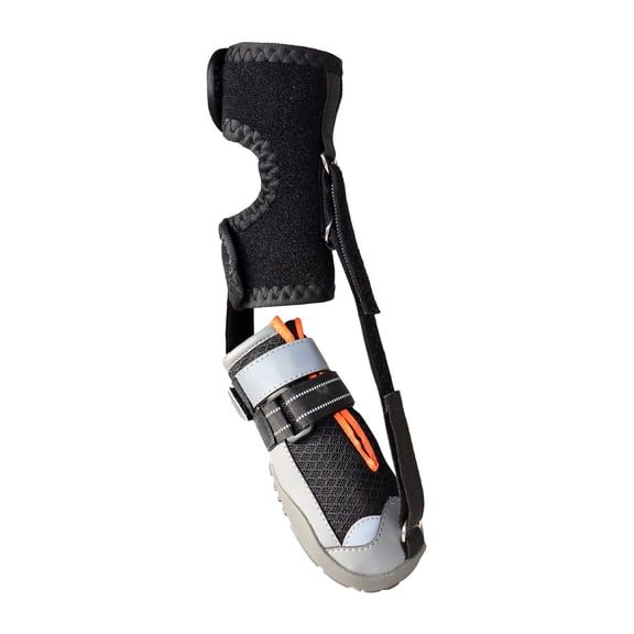 Fashion Dog Shoe Recovery Boot Waterproof Pet Shoe Snow Rain Dog Recovery Boot For Daily Walks