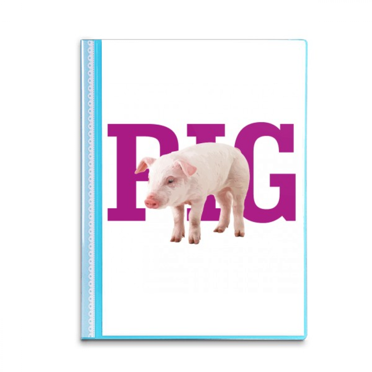 Fashion Food Meat Art Deco  Fashion Book Sheet Protectors Portfolio Binder Folder
