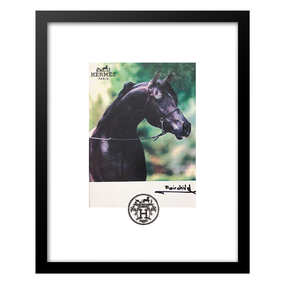 Fashion Horse Beauty Framed Print