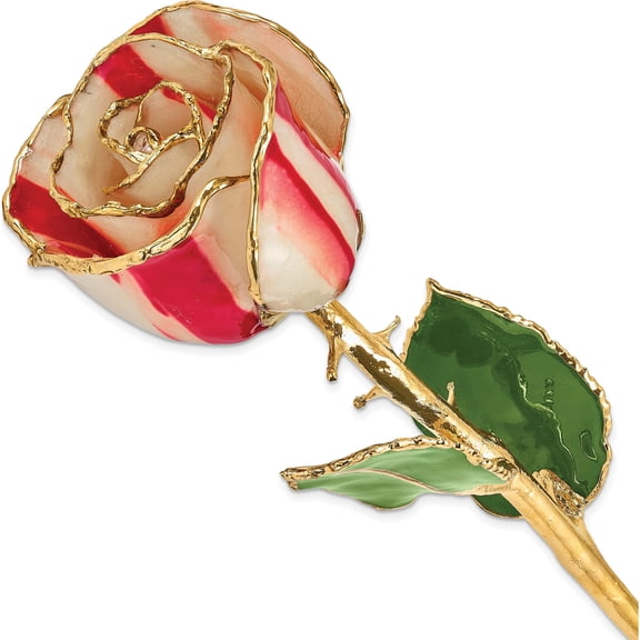 Fashion Lacquer Dipped Gold Trim Peppermint Rose Made In Thailand gp9352
