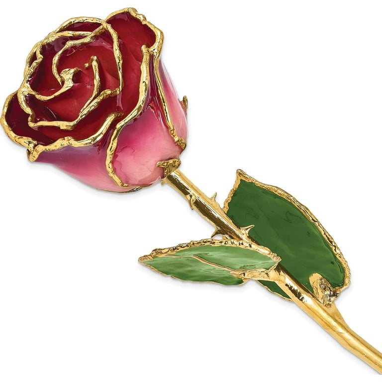 Lacquer Dipped 24k Gold Trim Pink & Burgundy Real Rose Lacquer Dipped 24k Gold Trim Pink & Burgundy Real Rose