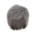 thumbnail image 1 of Fashion Ladies Wig Silver Gray Short Straight Synthetic Hair Heat Silk Fiber Wig for Women Stylish Comfortable Lightweight, 1 of 7