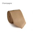 thumbnail image 1 of Fashion Neck Solid Plain wedding Silk Necktie Tie CHAMPAGNE, 1 of 8