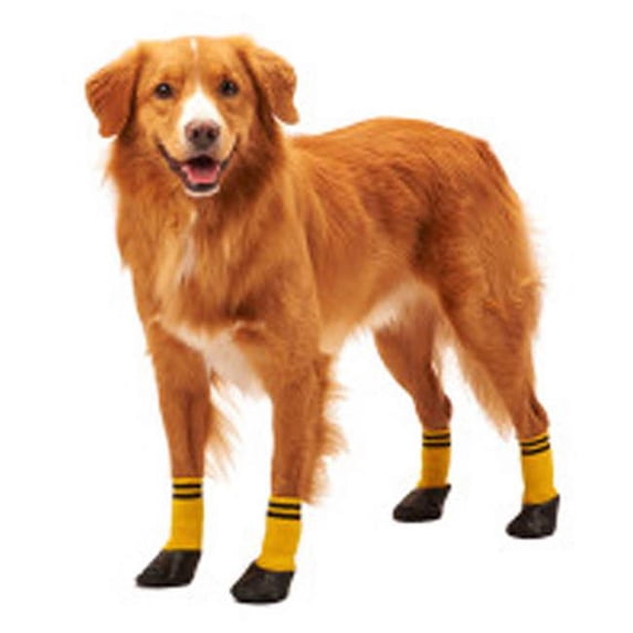 Fashion Pet 660204020404 Rainy Days Sock, Medium