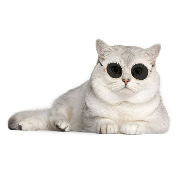Fashion Pet Glasses Creative Round Frame Small Sunglasses Size 1.18 Inch Lens ()