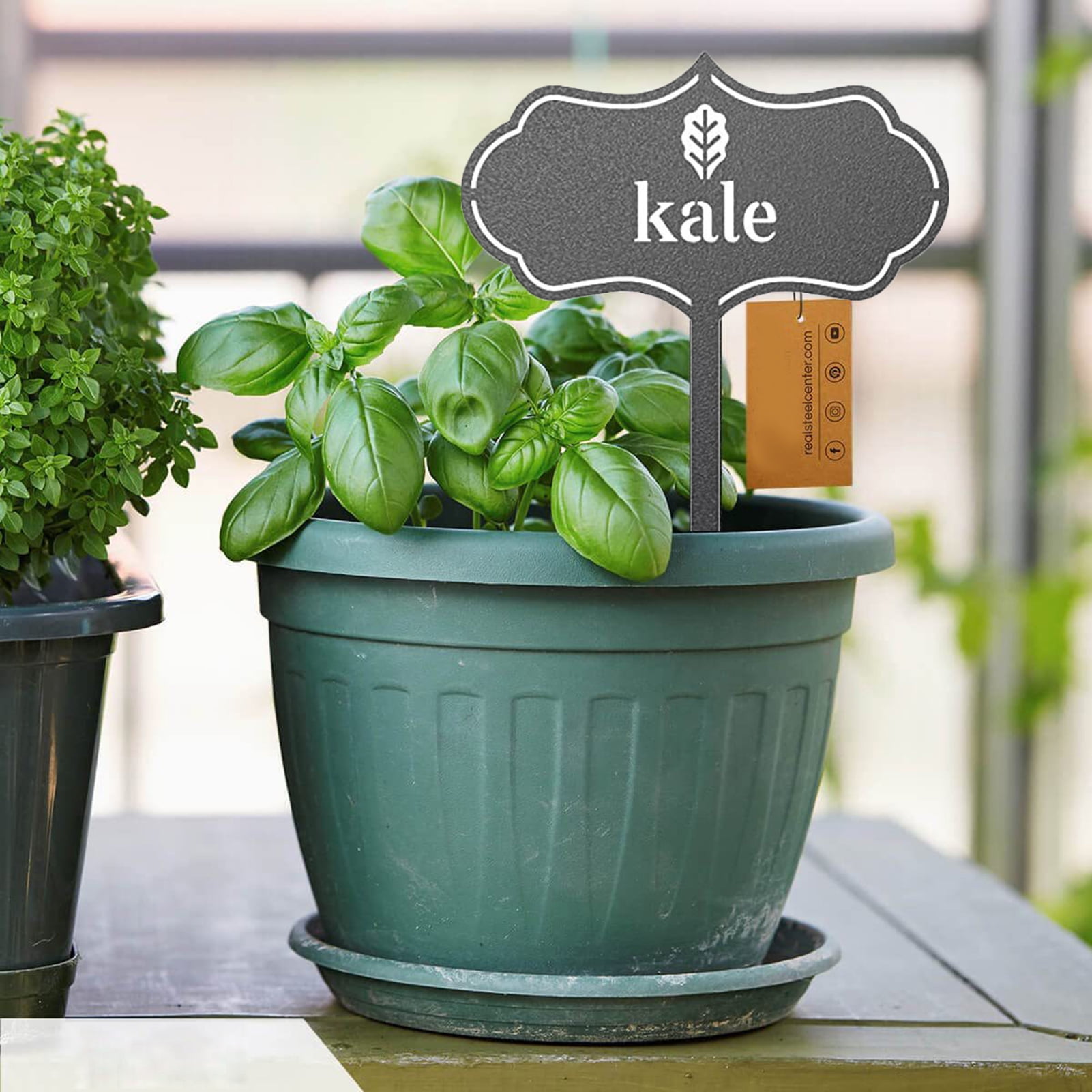 Fashion Plant Marker Tags Acrylic Bonsai Decor, Ideal for Farm