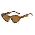 thumbnail image 1 of Womens Triangle Sunglasses Fashion Cat Eye Frame with UV400 Protection Stylish Sun Glasses for Ladies and High Visible, 1 of 1