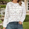 thumbnail image 1 of Fashion Women's Casual Lace Long Sleeve T Shirt Breathable Loose Fit Blouse Hollow Out Design Comfortable Top For Daily Wear Business Blouses for Women Womens Shirts Dressy Casual Summer Athletic, 1 of 5